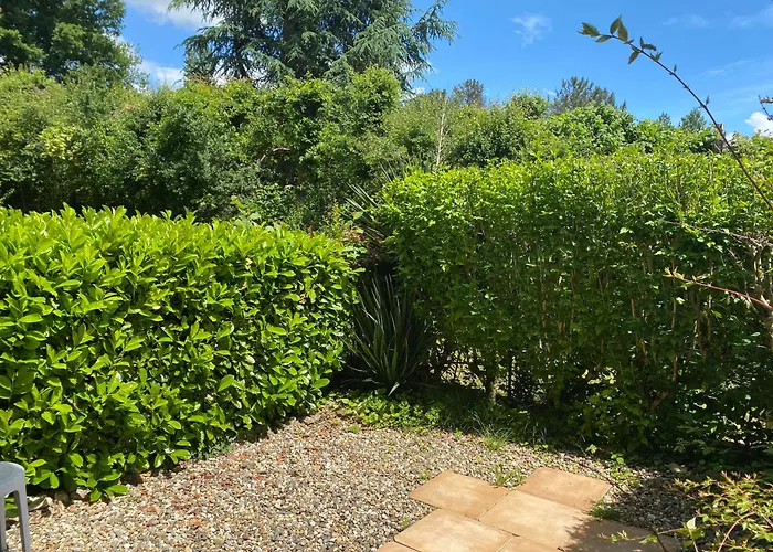 Studio Jardin Rdc 900 M Des Thermes!