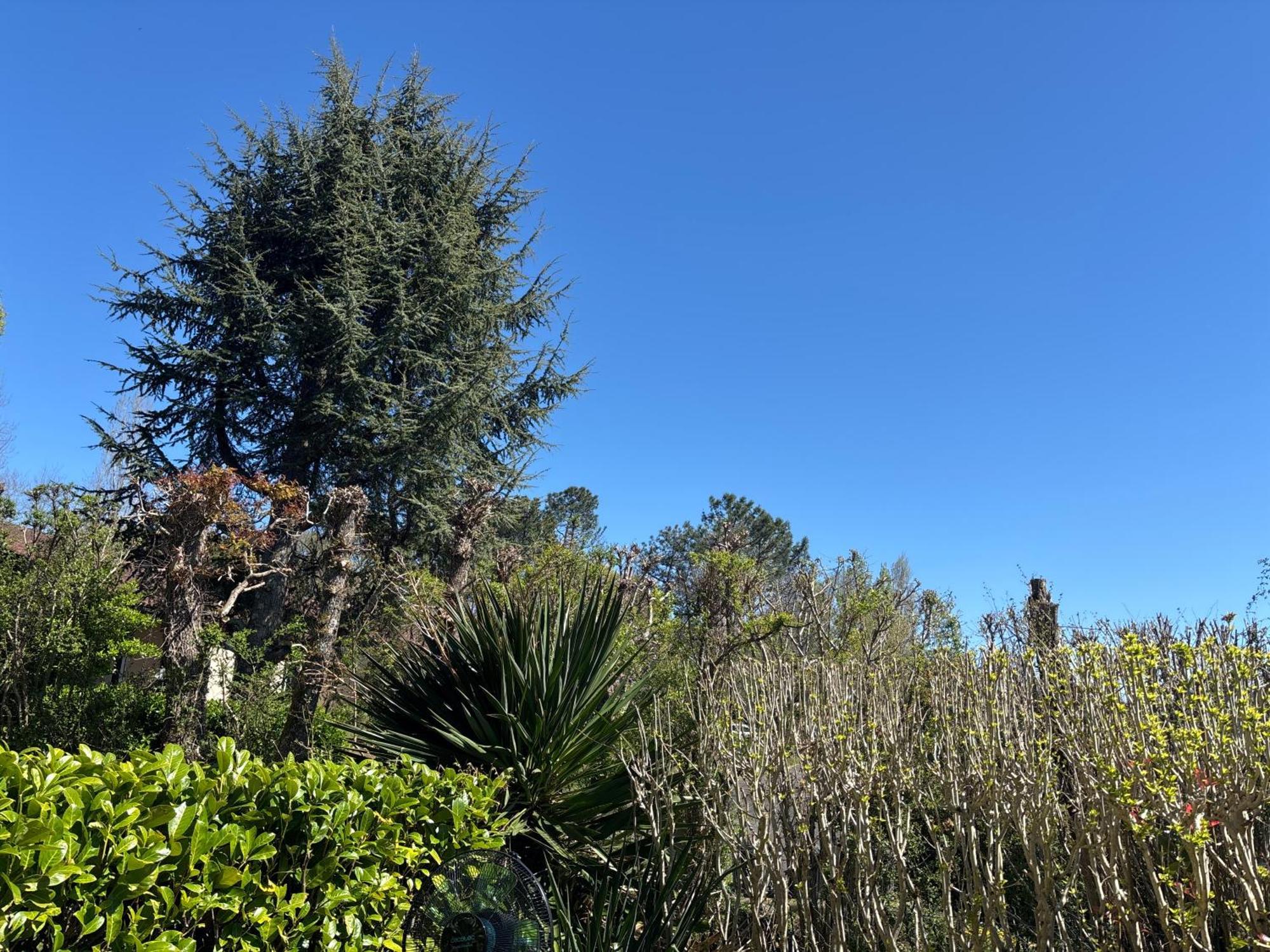 Apartamento Jardin Rdc 900 M Des Thermes! Cazaubon